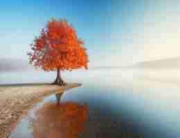 seo官​网‌优​化‍详﻿细﻿方‌法‌